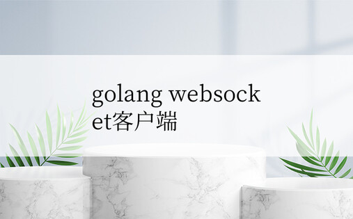 golang webso