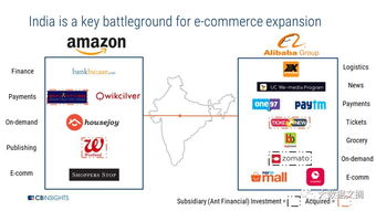 亚马逊在印度市场的策略调